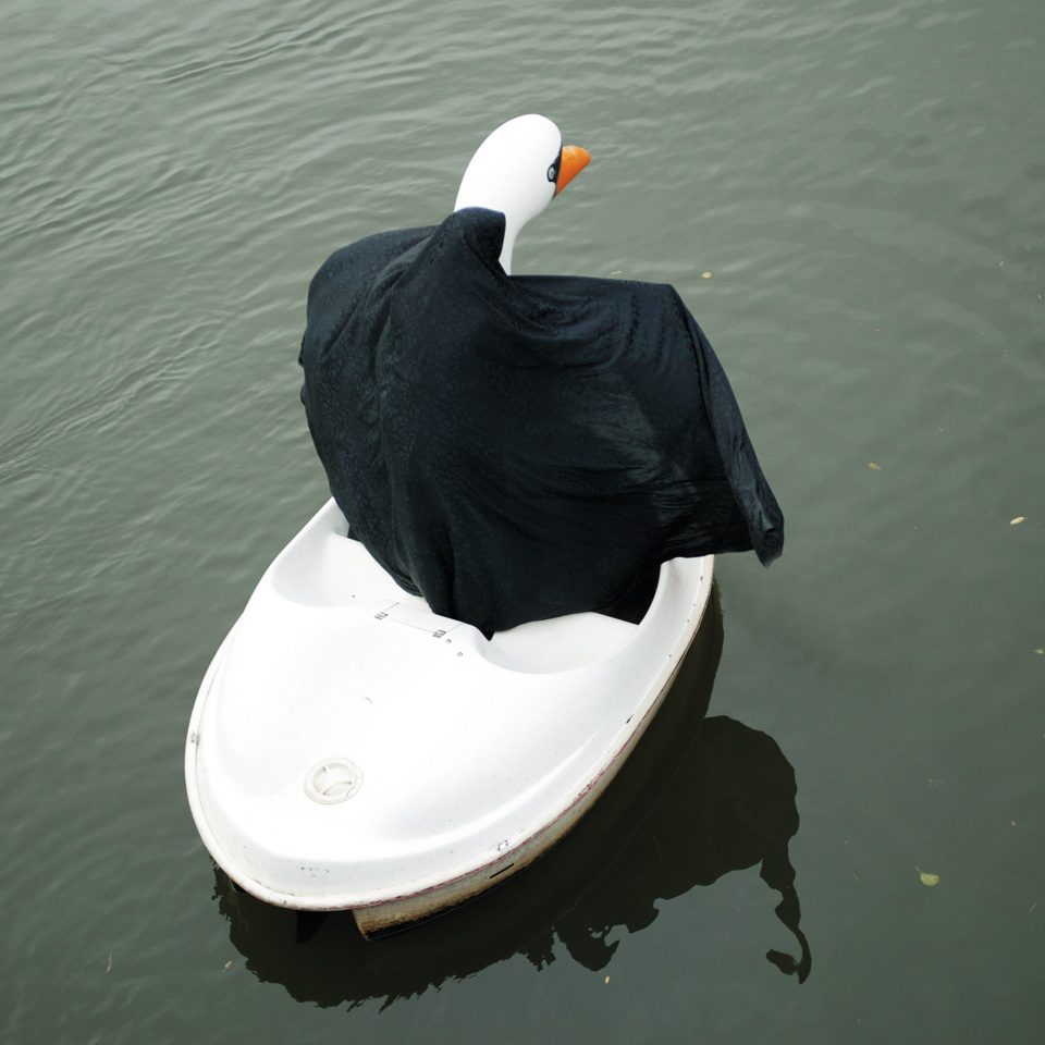 swanrider3
