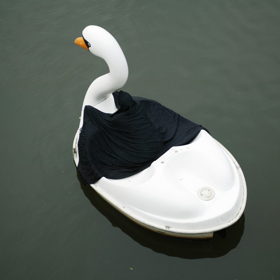swanrider4