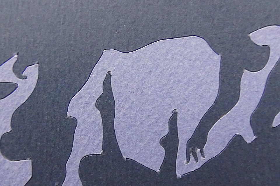 shadesofblue_detail5